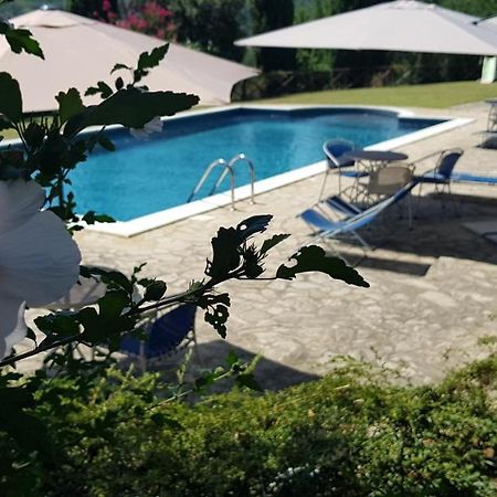 Case In Campagna Con Piscina A Todi Exteriér fotografie